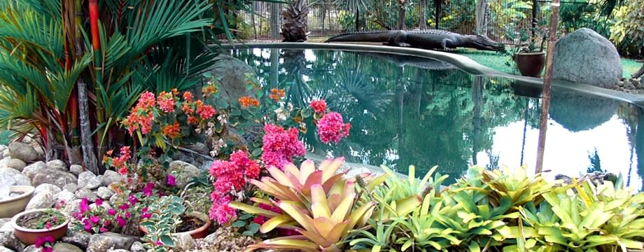 Pool room