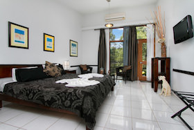 Cockatoo room