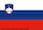 Slovenia flag